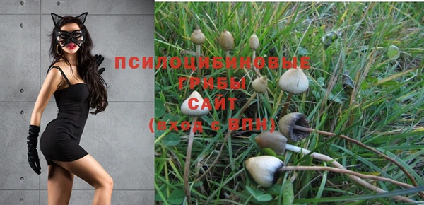 спайс Алексеевка