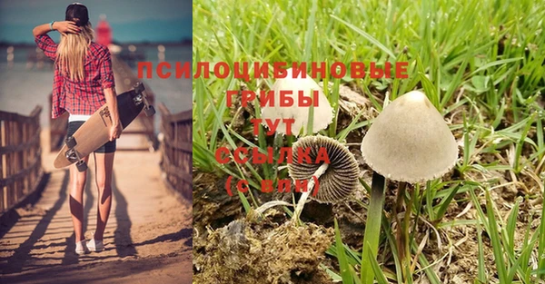 кристаллы Абинск