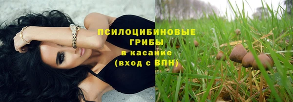 герыч Алзамай